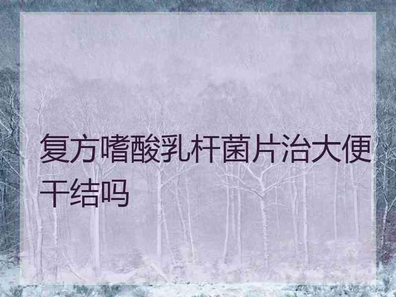 复方嗜酸乳杆菌片治大便干结吗