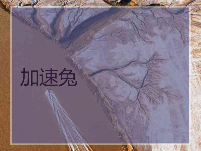 加速兔