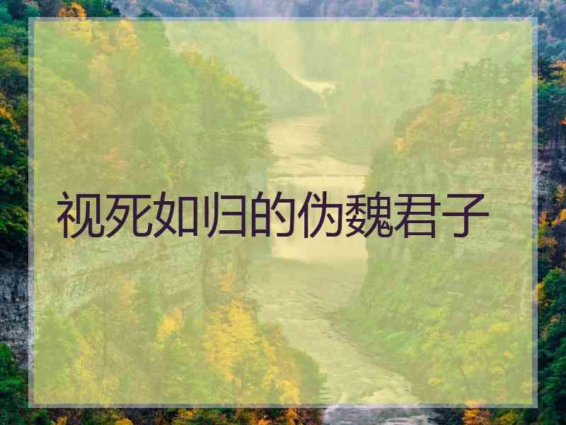 视死如归的伪魏君子