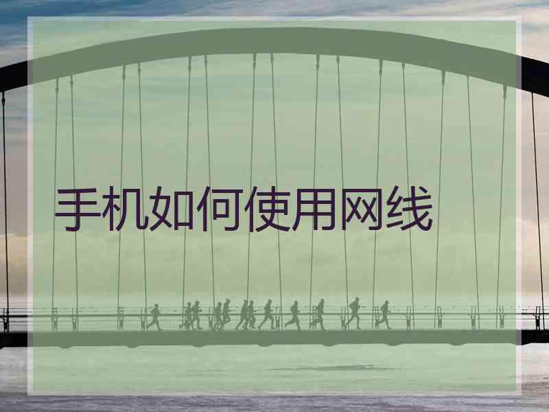 手机如何使用网线