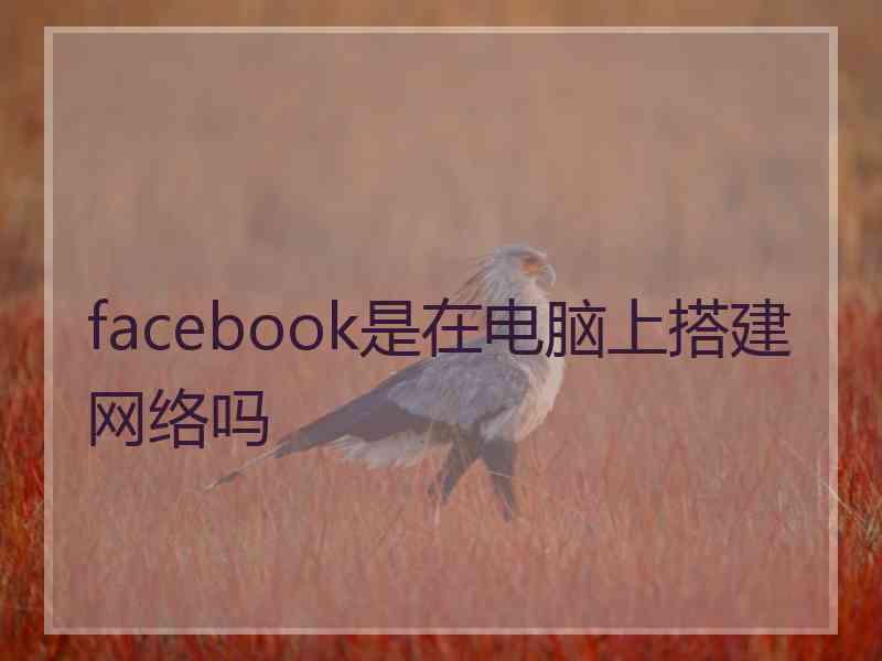 facebook是在电脑上搭建网络吗