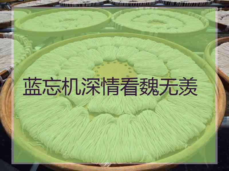 蓝忘机深情看魏无羡