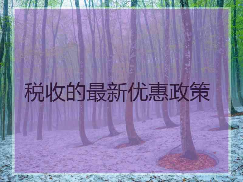 税收的最新优惠政策