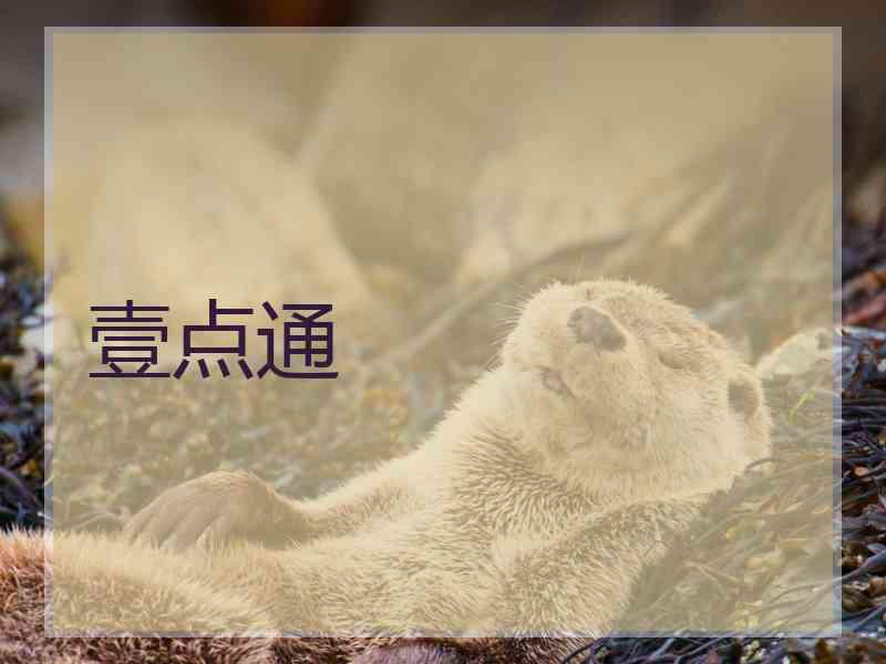壹点通