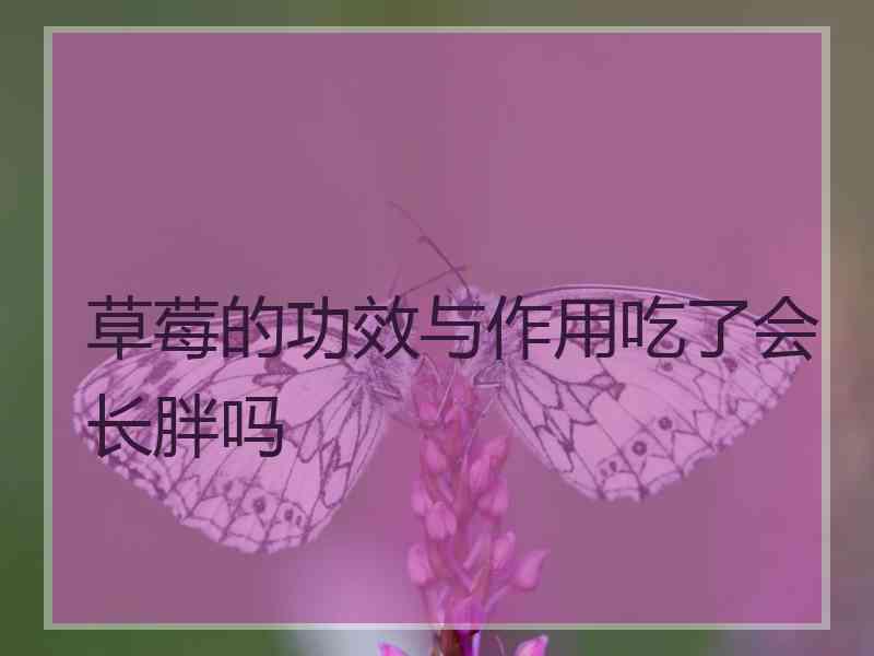 草莓的功效与作用吃了会长胖吗