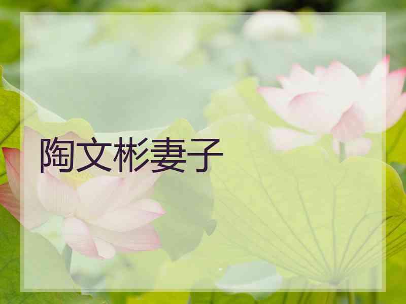 陶文彬妻子