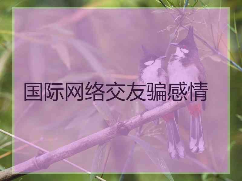 国际网络交友骗感情