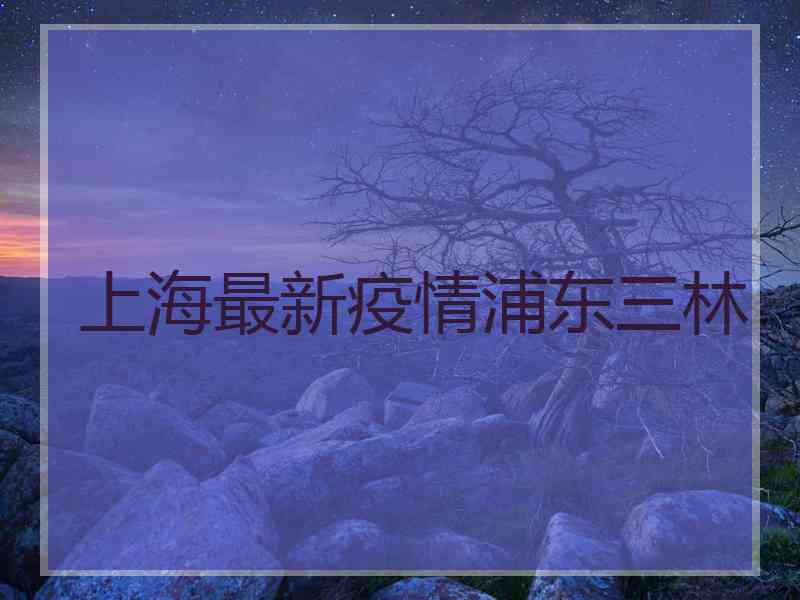 上海最新疫情浦东三林