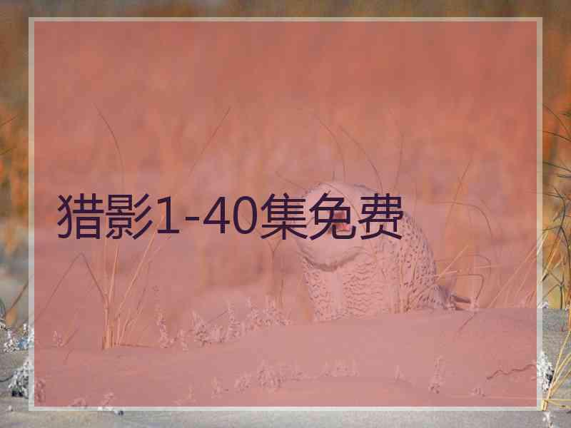 猎影1-40集免费