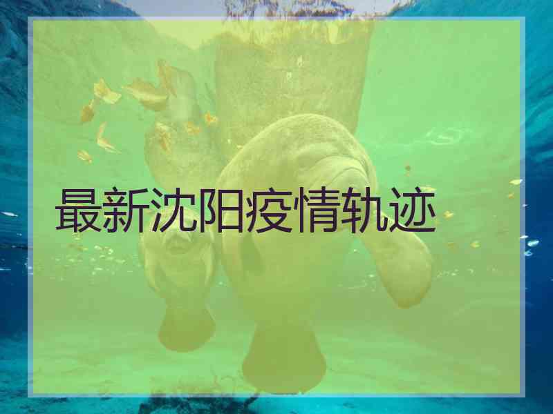 最新沈阳疫情轨迹