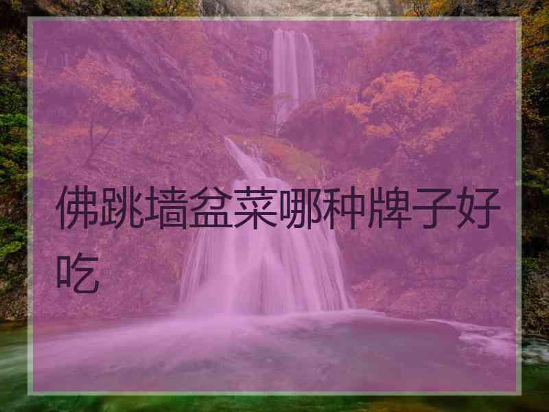 佛跳墙盆菜哪种牌子好吃