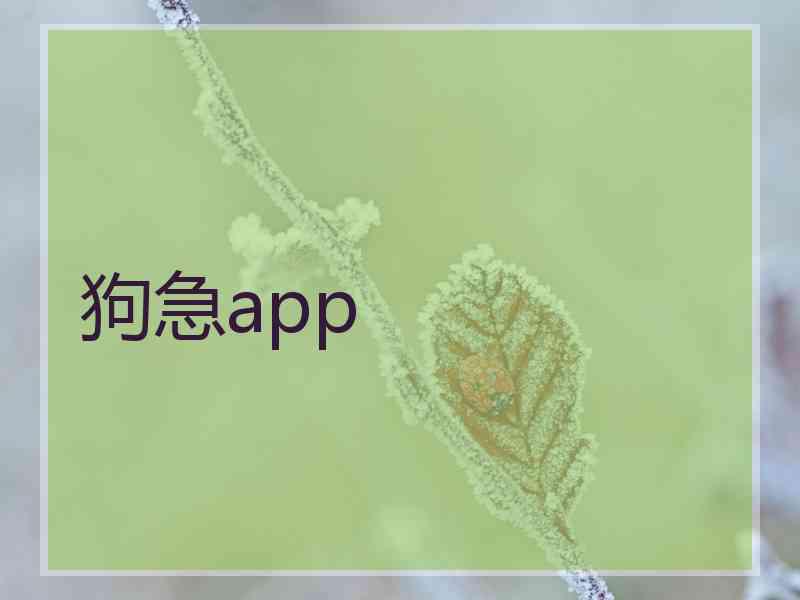 狗急app
