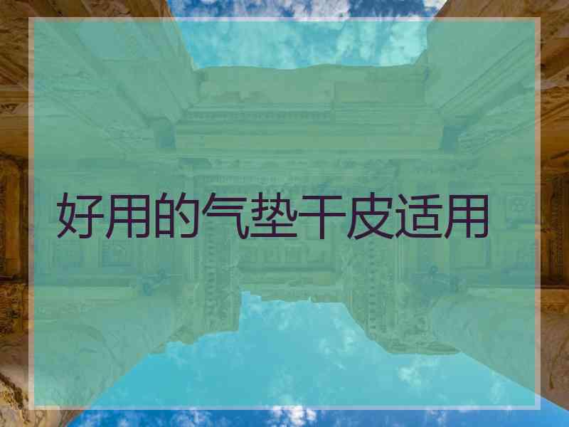 好用的气垫干皮适用
