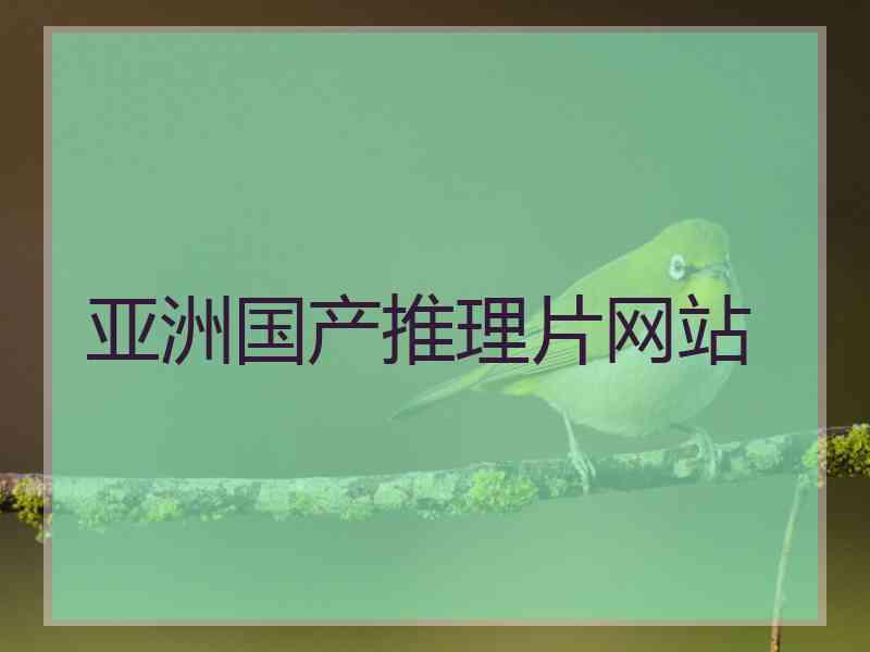 亚洲国产推理片网站