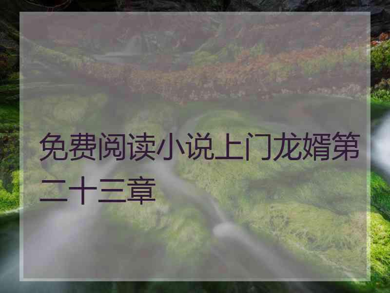 免费阅读小说上门龙婿第二十三章