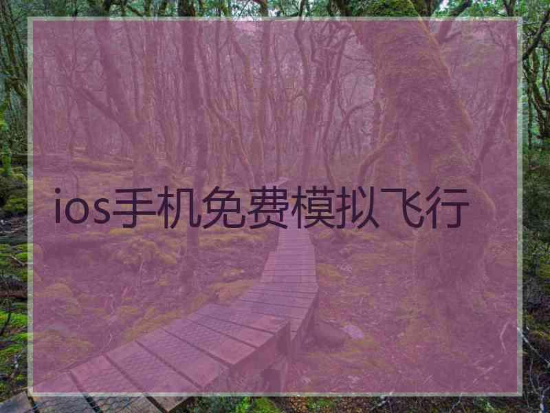 ios手机免费模拟飞行