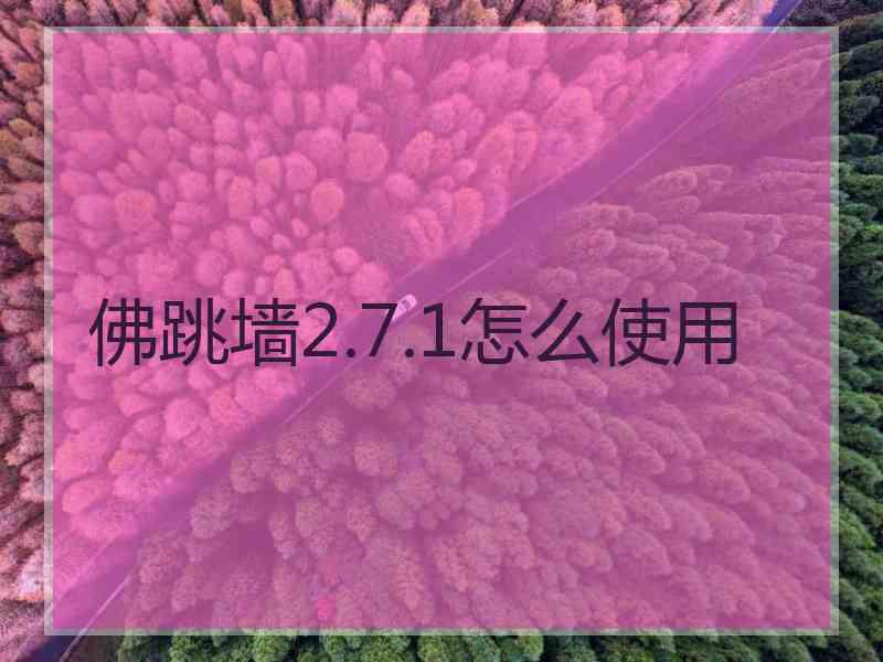 佛跳墙2.7.1怎么使用