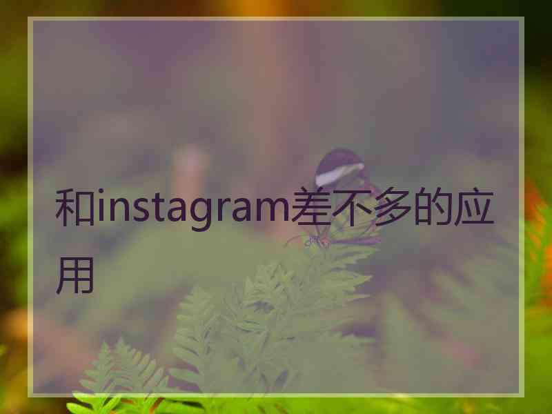 和instagram差不多的应用