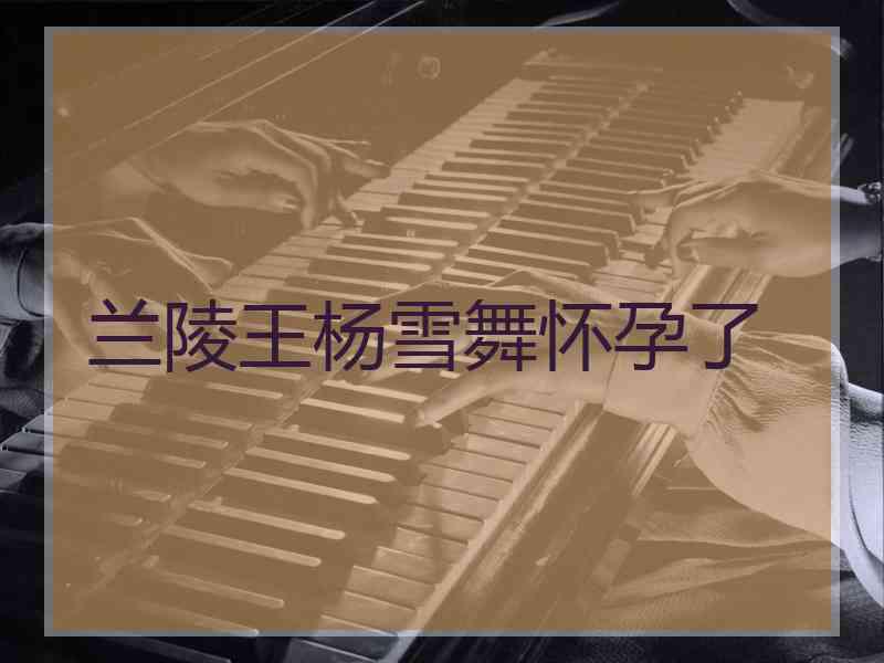 兰陵王杨雪舞怀孕了