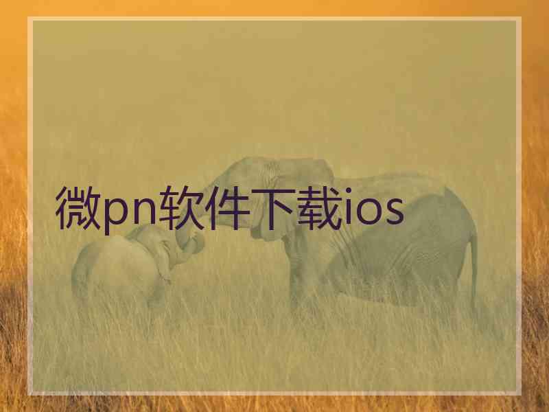 微pn软件下载ios