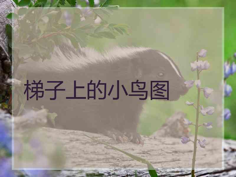 梯子上的小鸟图
