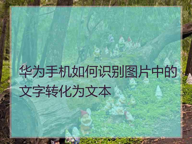 华为手机如何识别图片中的文字转化为文本