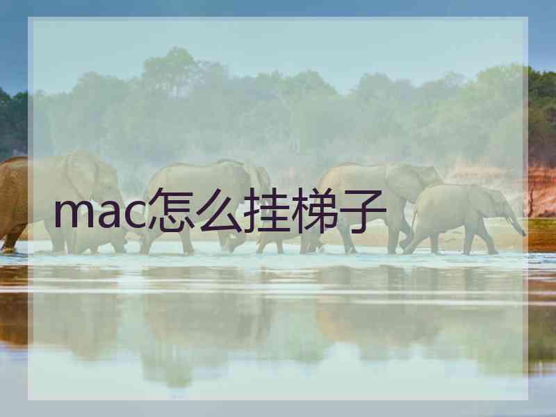 mac怎么挂梯子