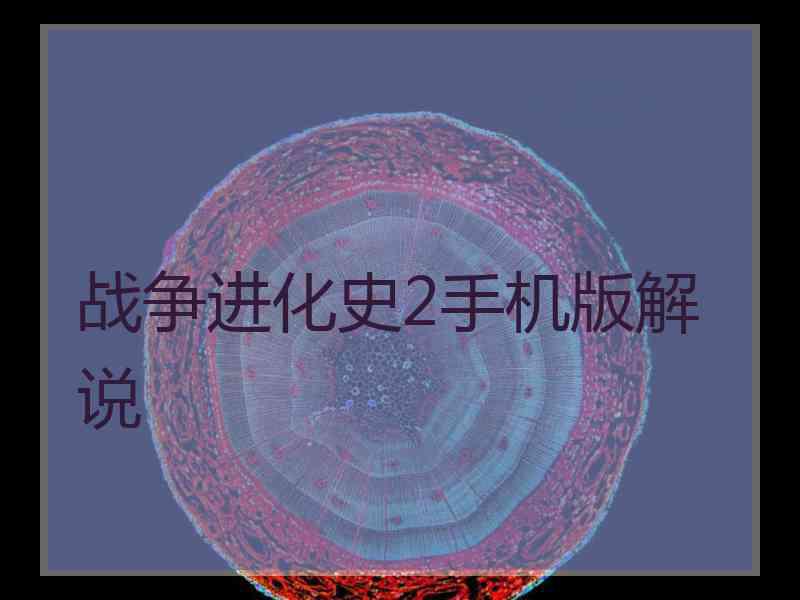 战争进化史2手机版解说