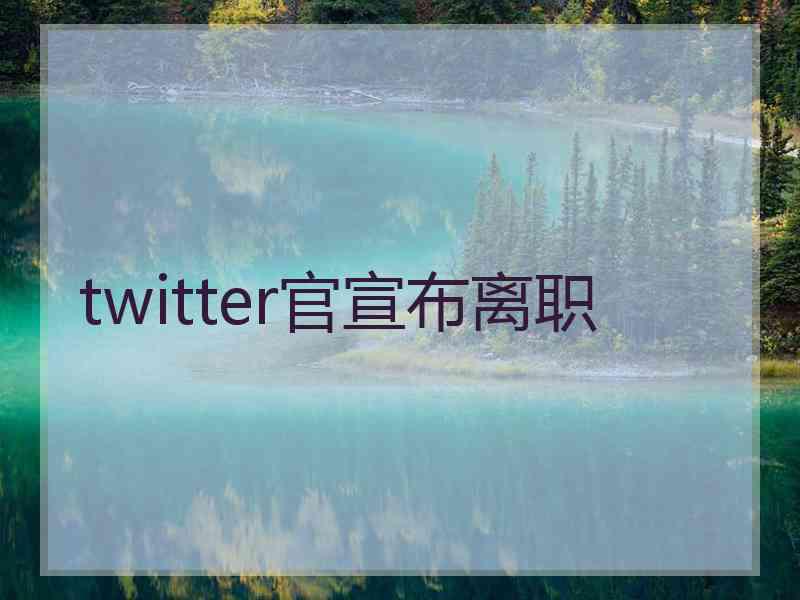 twitter官宣布离职