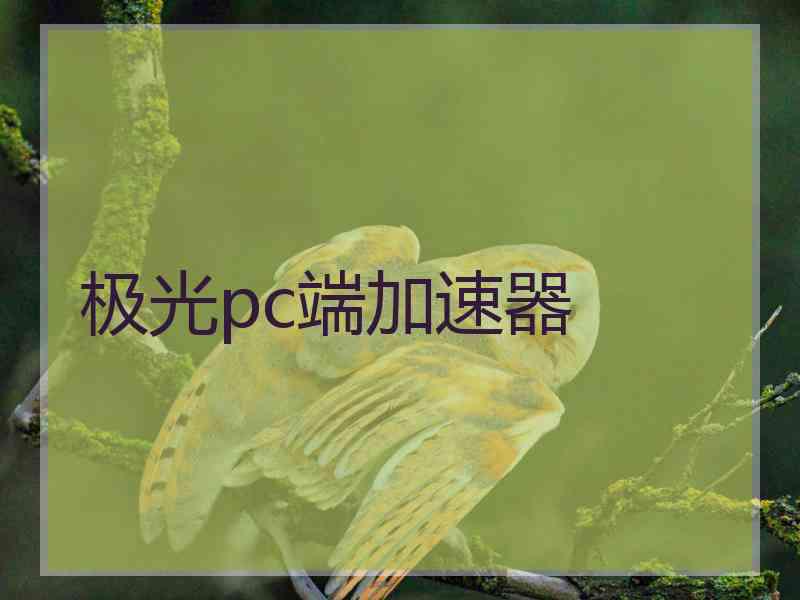 极光pc端加速器