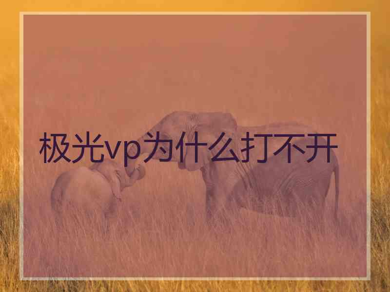 极光vp为什么打不开