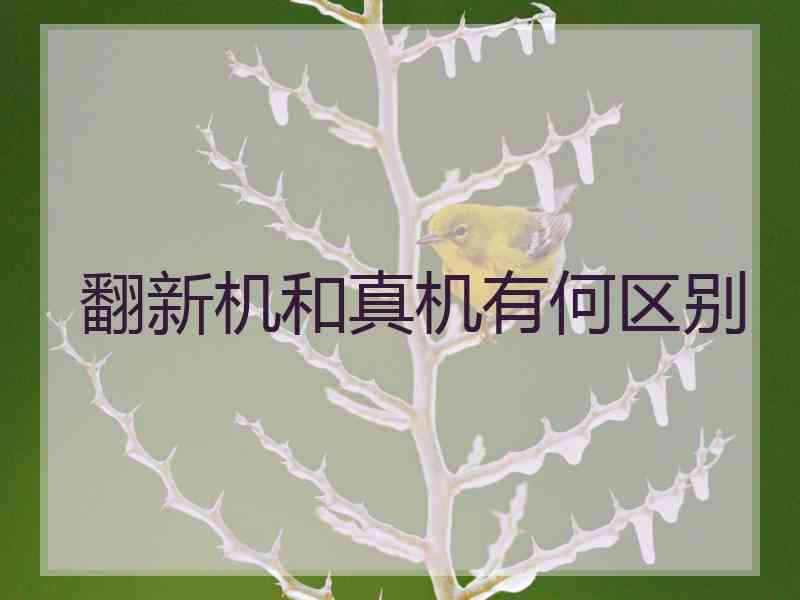 翻新机和真机有何区别