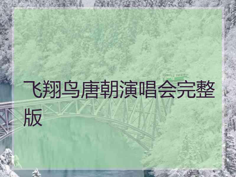 飞翔鸟唐朝演唱会完整版