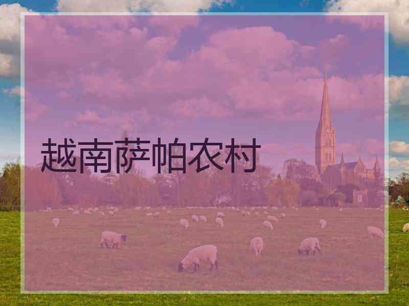越南萨帕农村