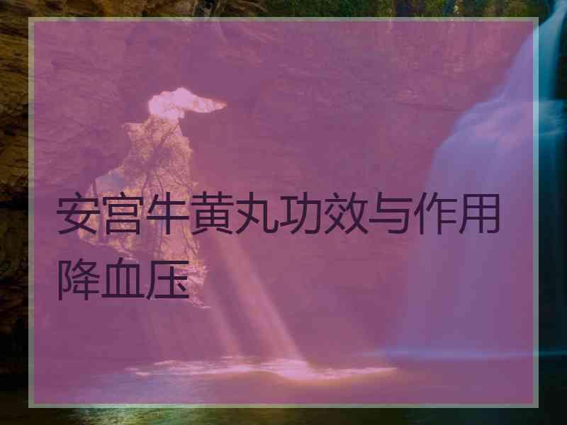 安宫牛黄丸功效与作用降血压