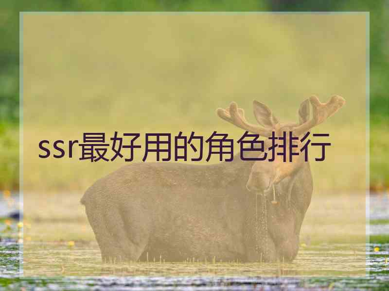 ssr最好用的角色排行