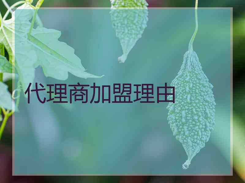 代理商加盟理由