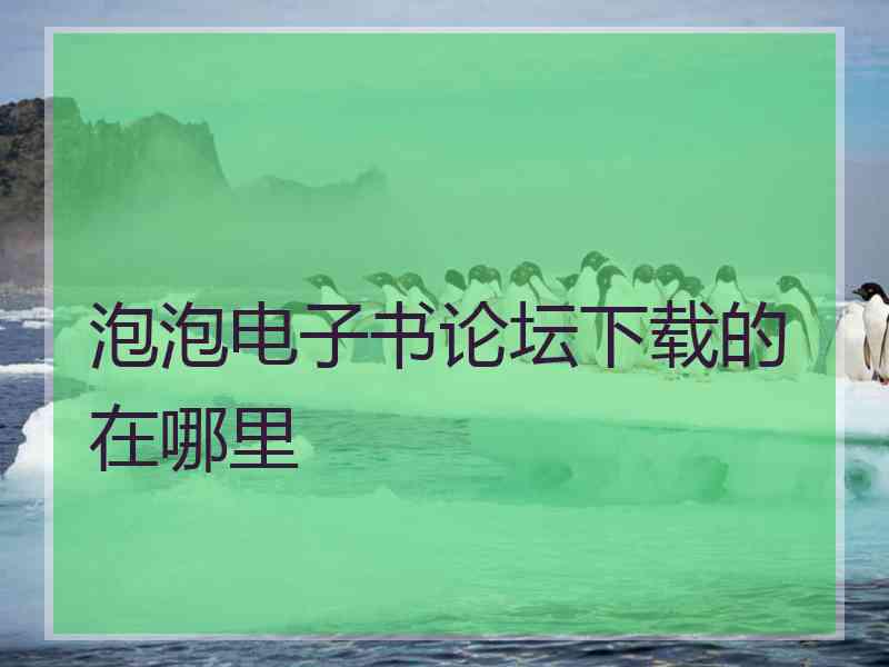 泡泡电子书论坛下载的在哪里