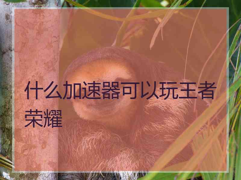 什么加速器可以玩王者荣耀