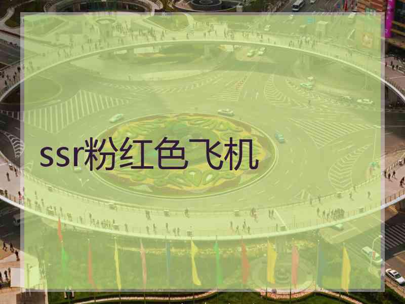 ssr粉红色飞机