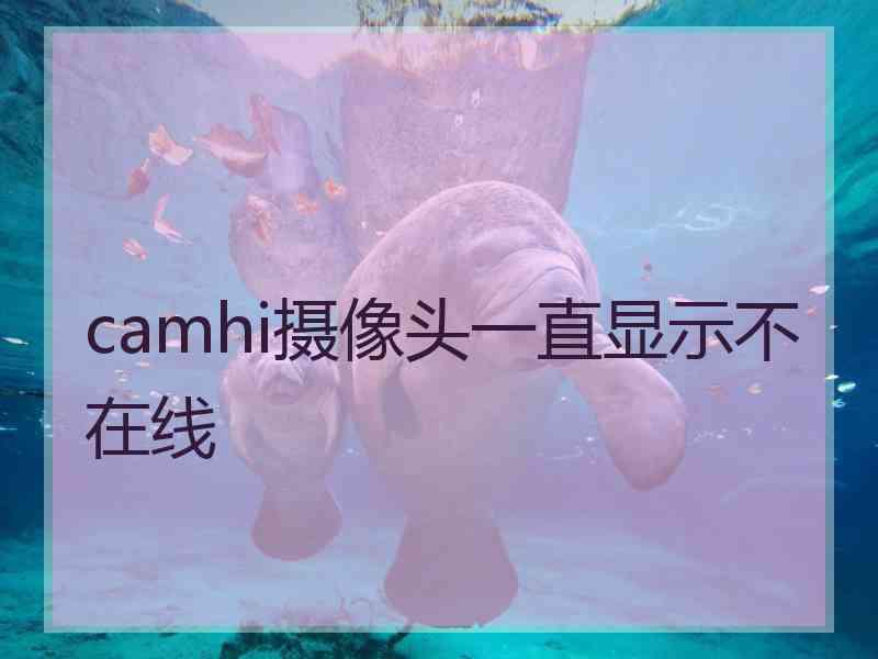 camhi摄像头一直显示不在线