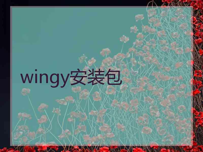 wingy安装包