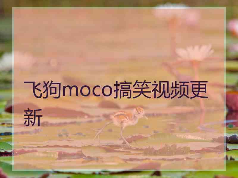 飞狗moco搞笑视频更新