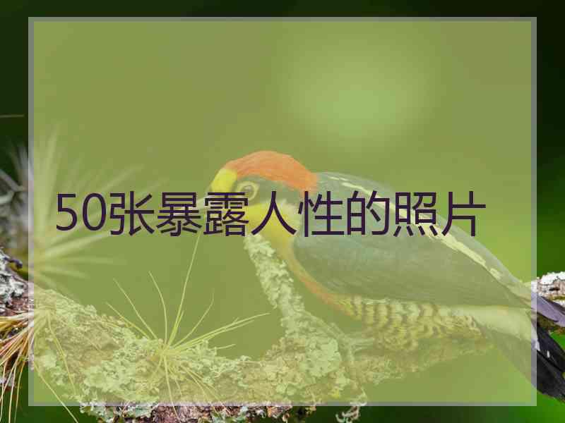 50张暴露人性的照片