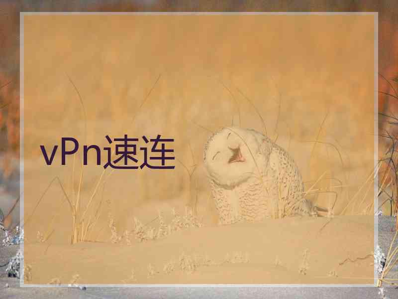 vPn速连