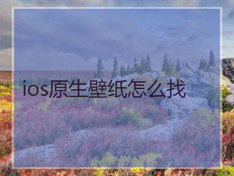 ios原生壁纸怎么找