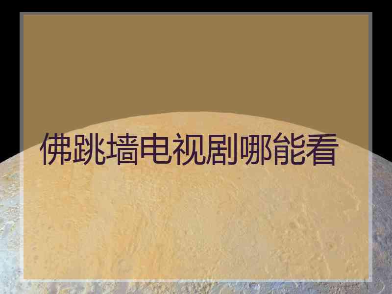 佛跳墙电视剧哪能看