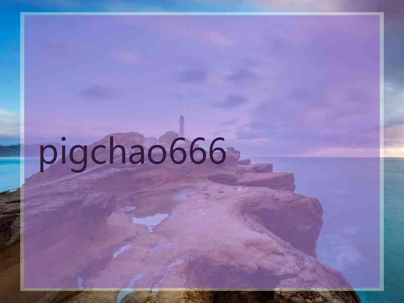 pigchao666