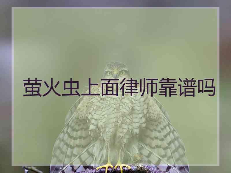 萤火虫上面律师靠谱吗