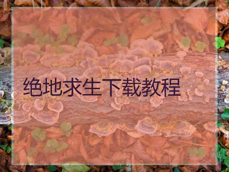 绝地求生下载教程